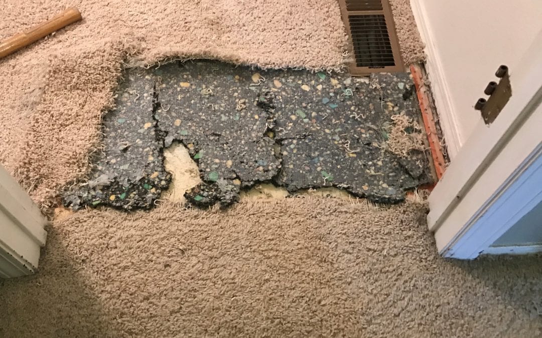 Flagstaff, AZ: Carpet Repair