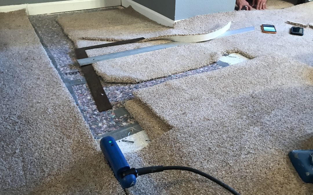 Munds Park, AZ: Carpet Repair