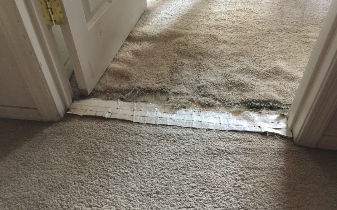 Prescott Valley, AZ: Carpet Repair