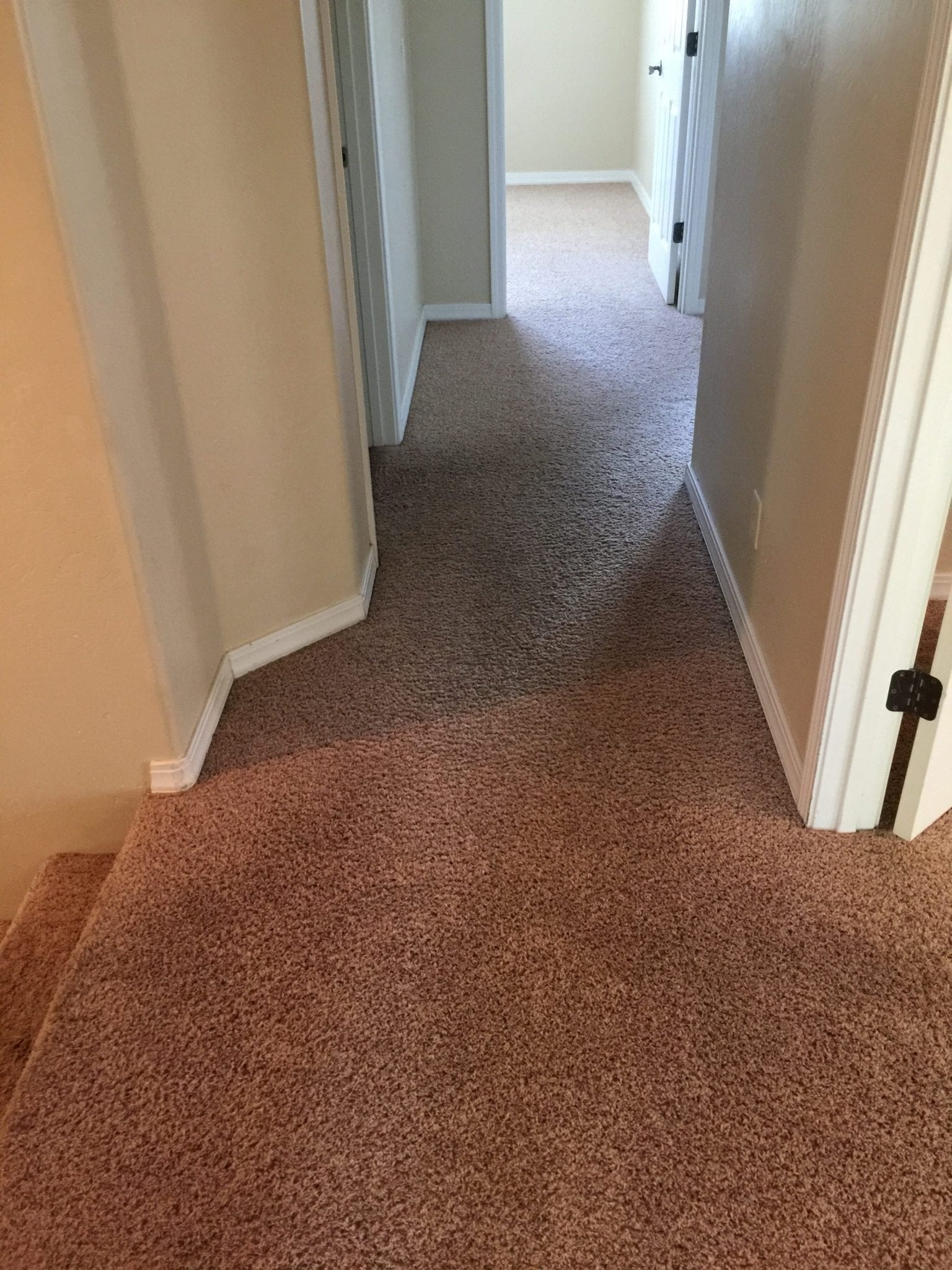 Flagstaff, AZ Carpet Cleaning Northern Arizona Carpet Repair & Cleaning