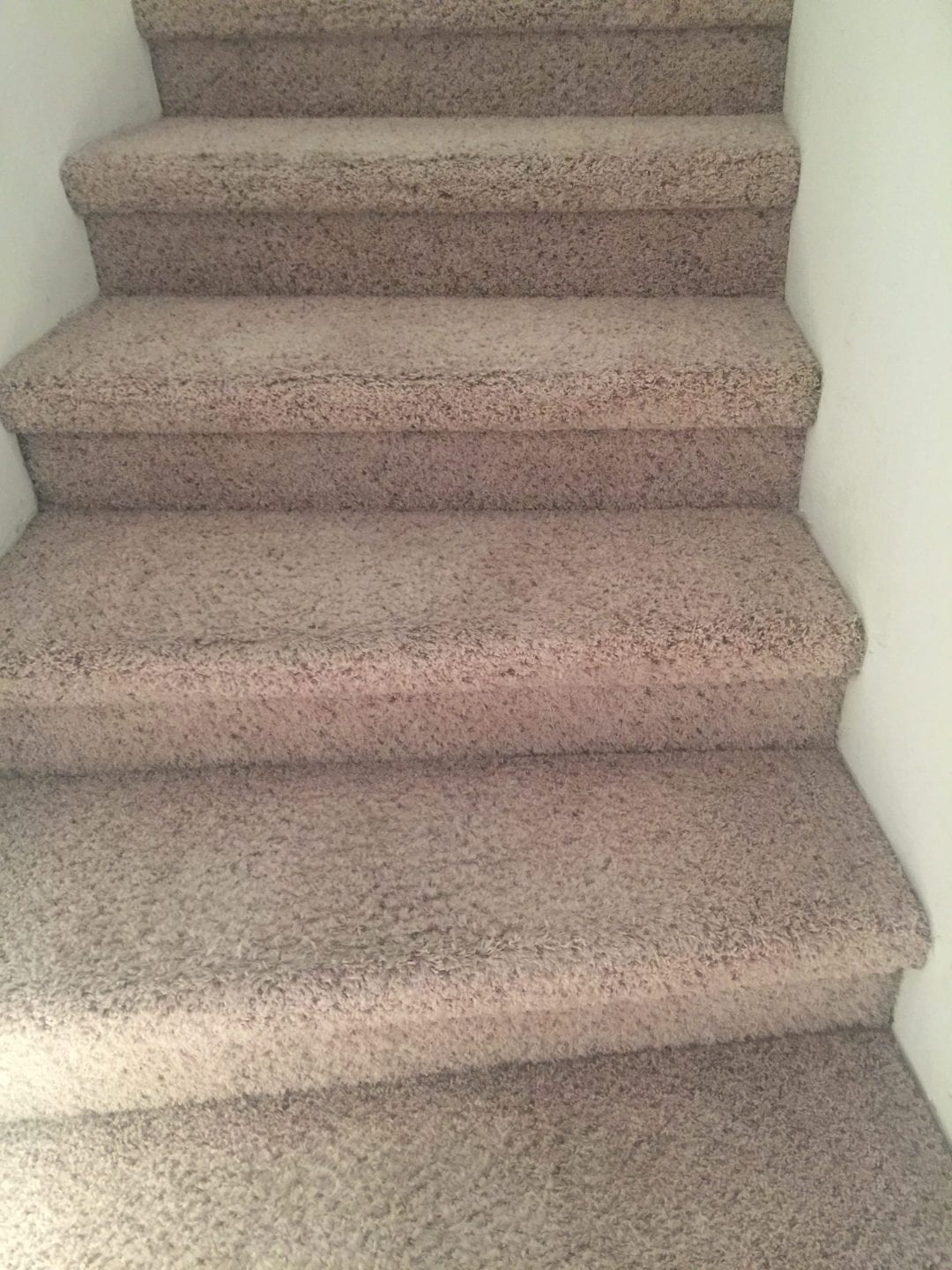 Prescott, AZ Carpet Cleaning Northern Arizona Carpet Repair & Cleaning