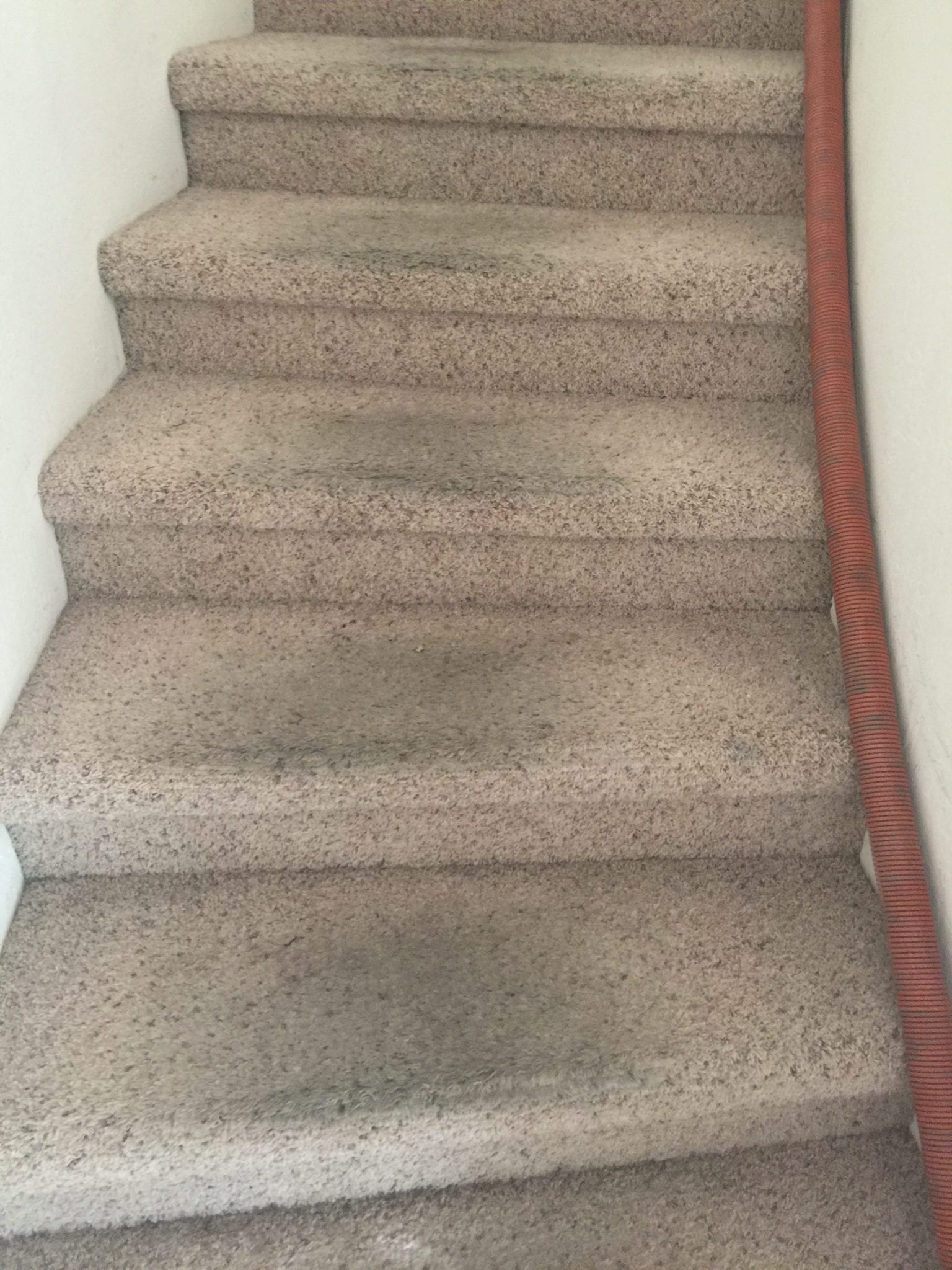 Prescott, AZ Carpet Cleaning Northern Arizona Carpet Repair & Cleaning