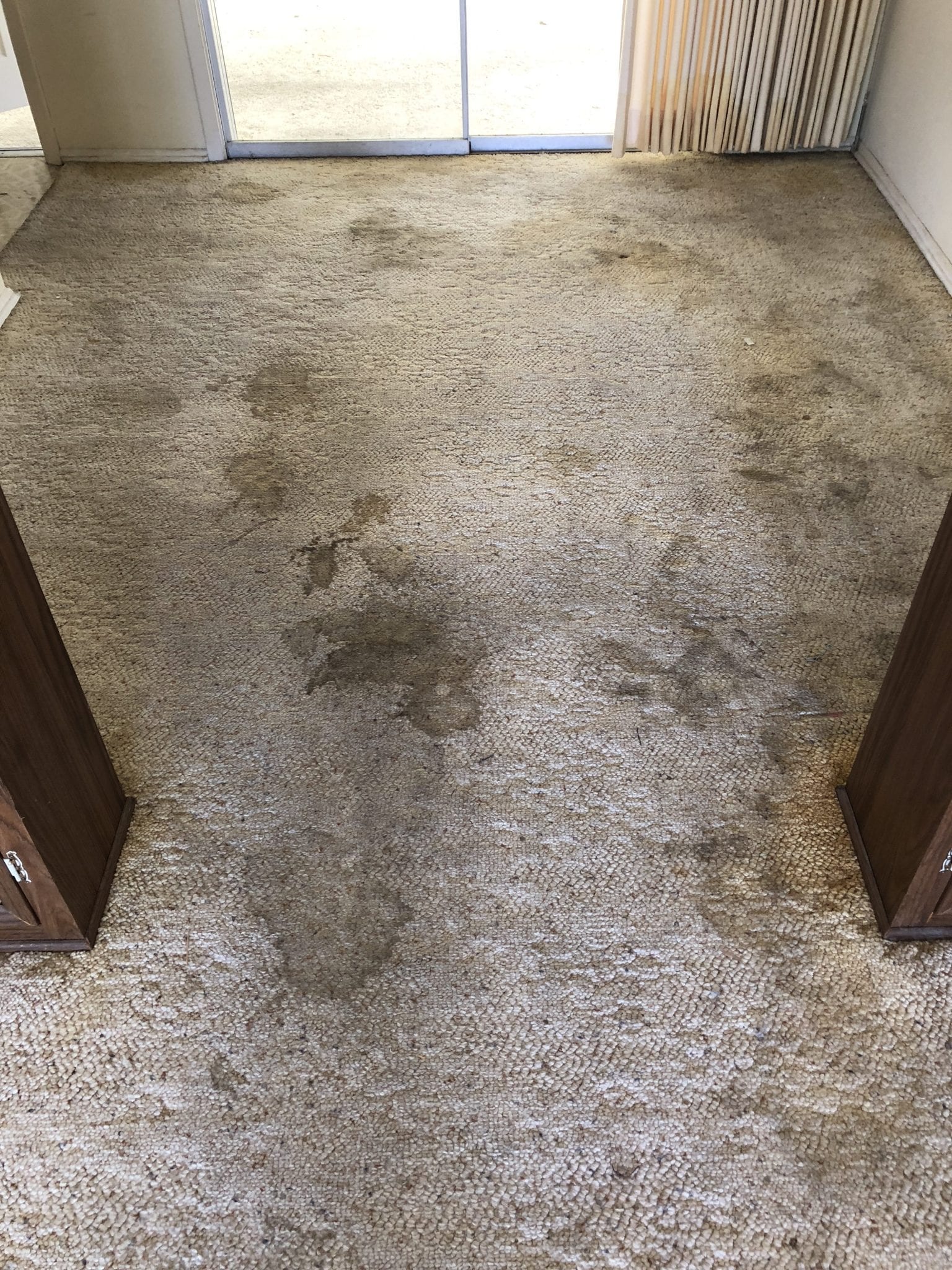 Flagstaff, AZ Carpet Cleaning Northern Arizona Carpet Repair & Cleaning