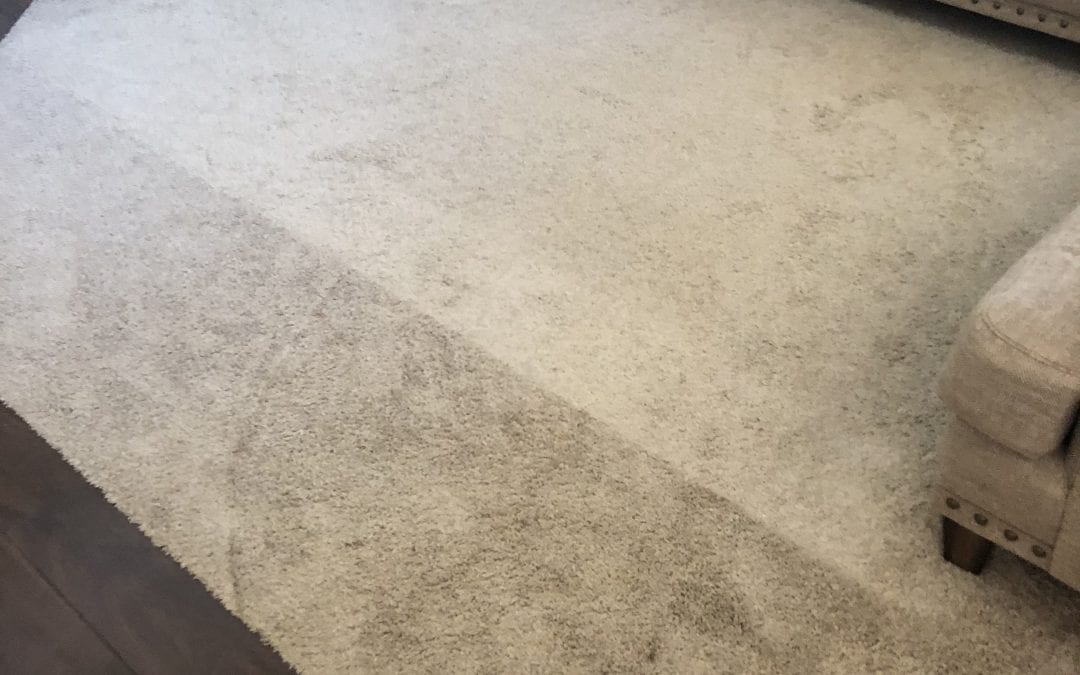 Flagstaff, AZ: Carpet Cleaning