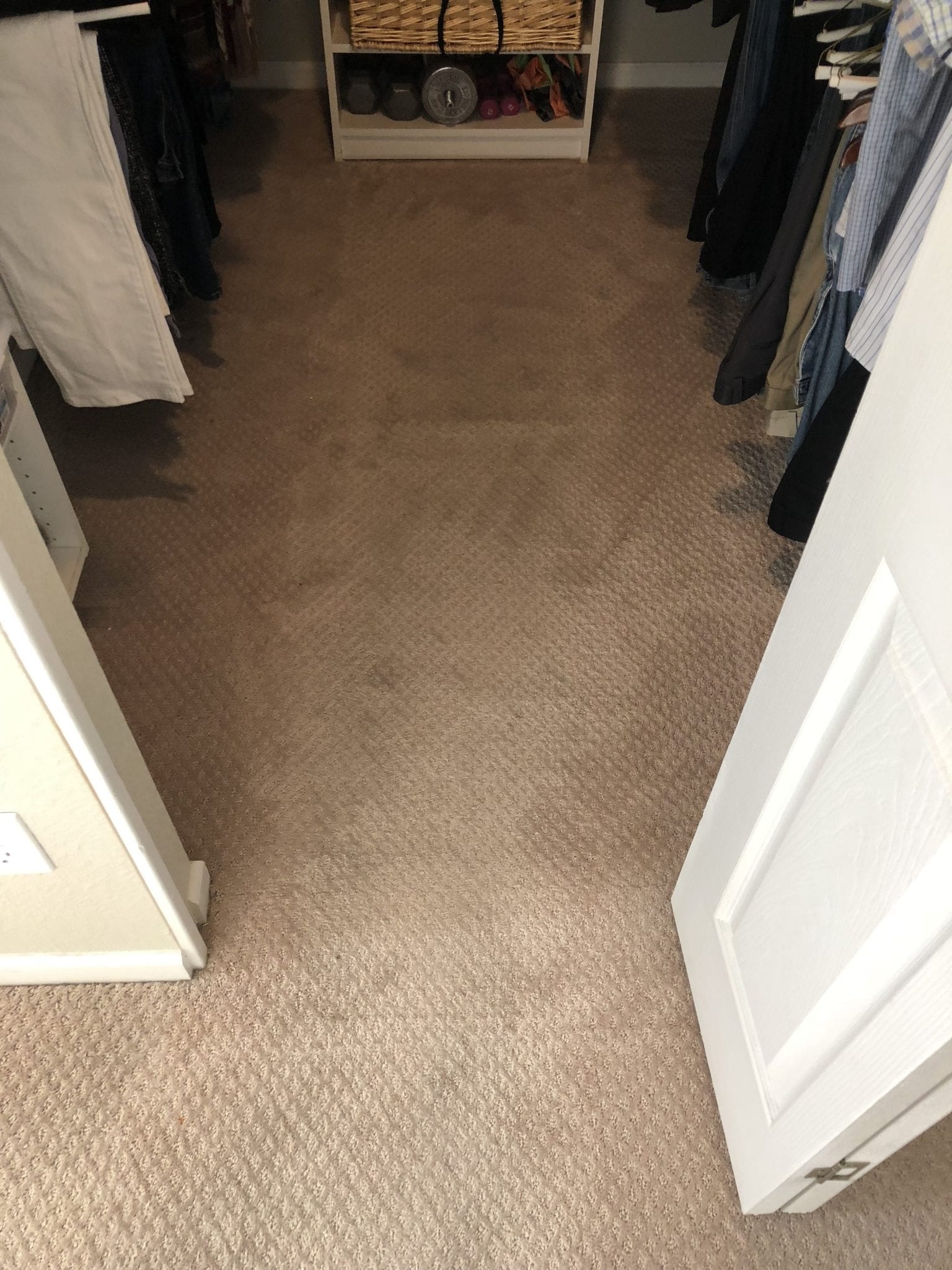 Flagstaff, AZ Carpet Cleaning Northern Arizona Carpet Repair & Cleaning