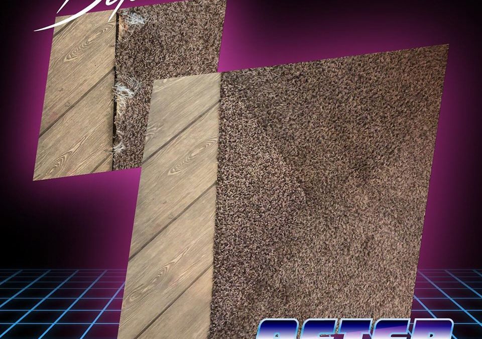 Flagstaff, AZ: Carpet Repair