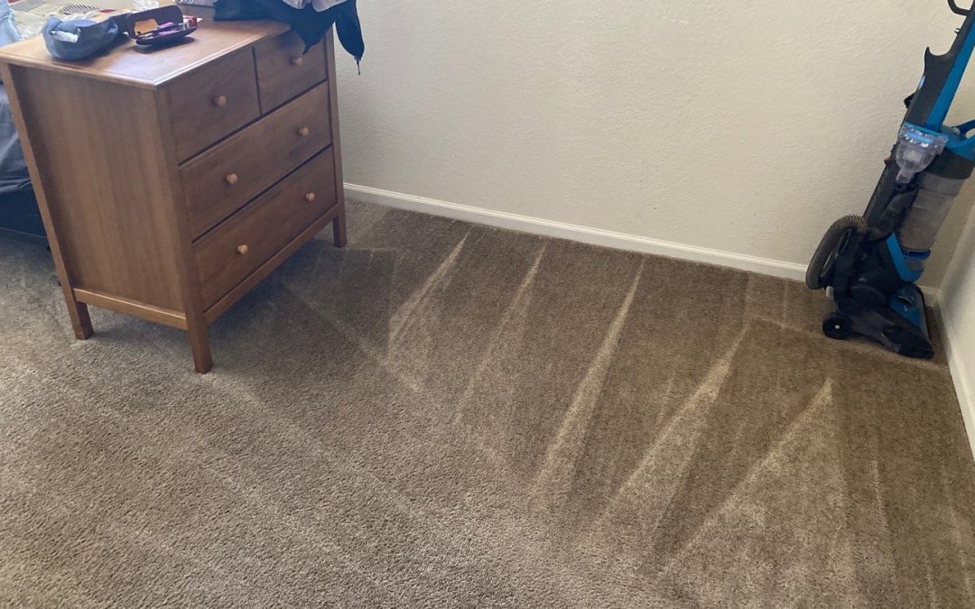 Carpet Cleaning: Williams, AZ