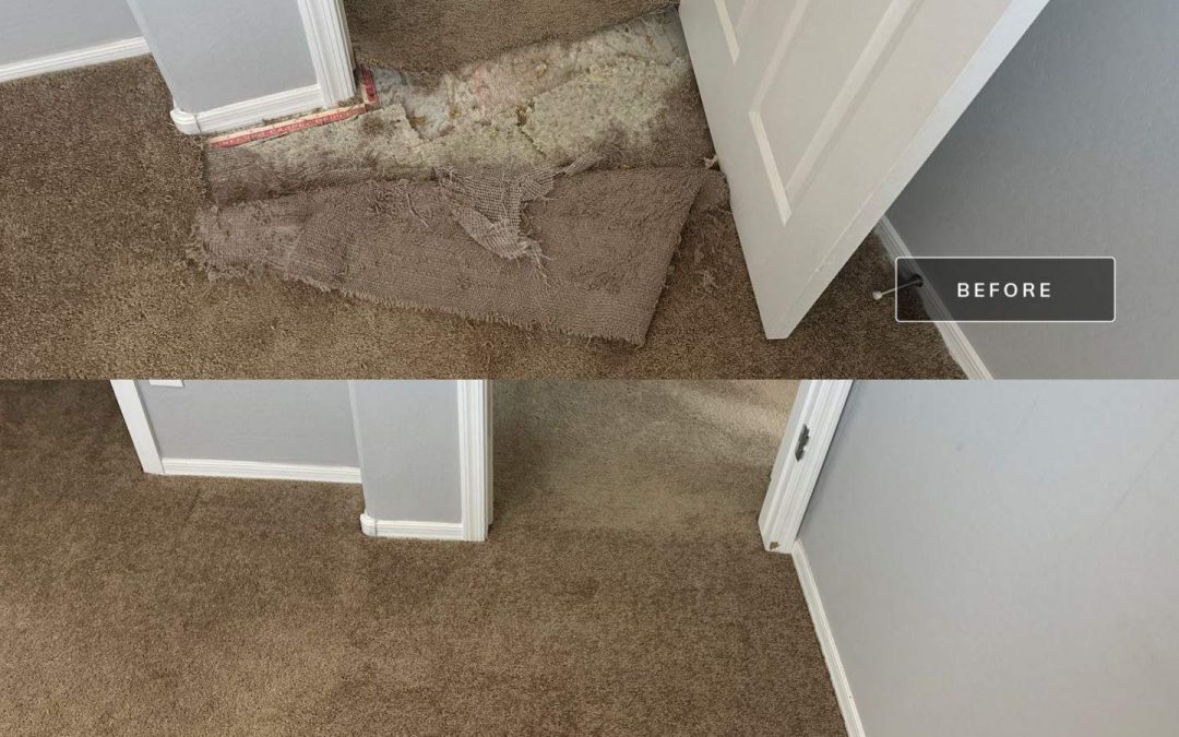 Pet Damage? No Problem! How Northern Arizona Carpet Repair & Cleaning Restored a Carpet After Pet Damage in a Doorway