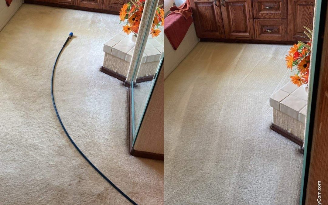 Revitalize Your Home with Northern Arizona Carpet Repair and Cleaning