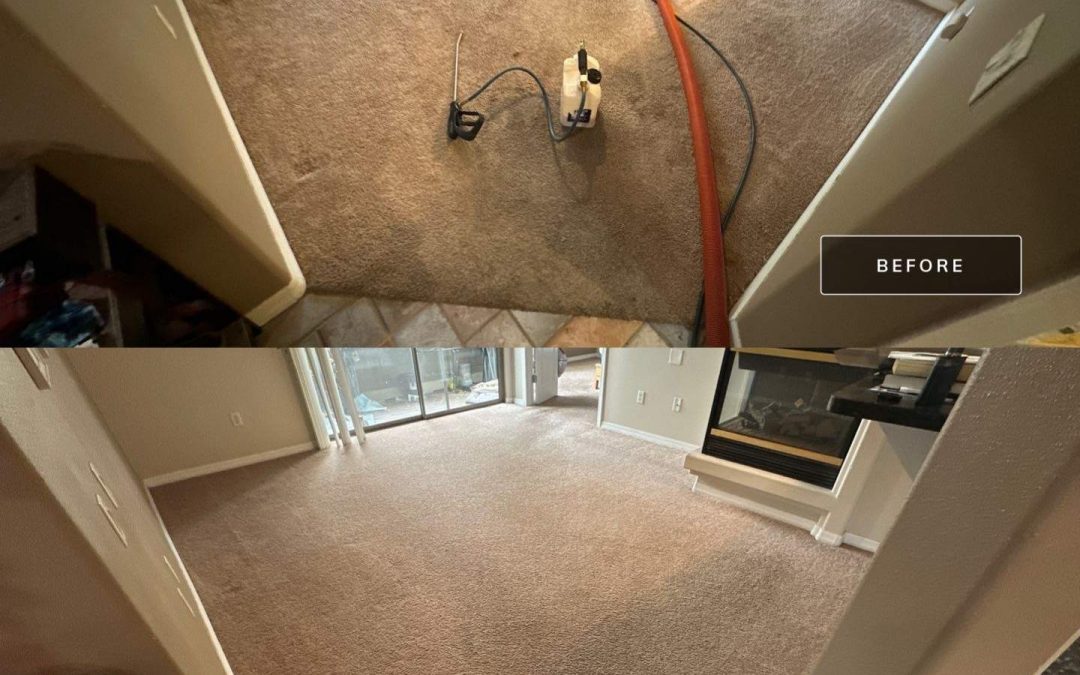 Refresh Your Home with Professional Carpet Cleaning from Northern Arizona Carpet Repair & Cleaning