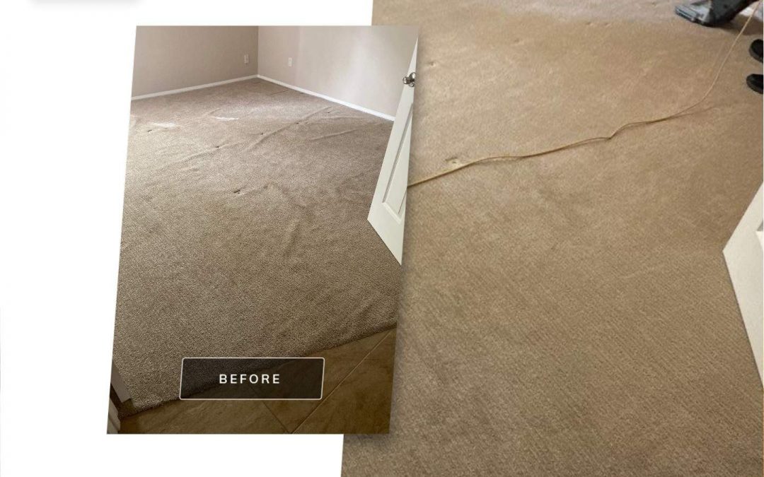 Smooth Out Wrinkles with Professional Carpet Stretching in Northern Arizona