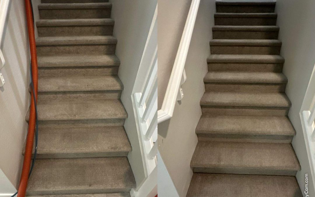 Professional Carpet Cleaning for Stairs in Northern Arizona