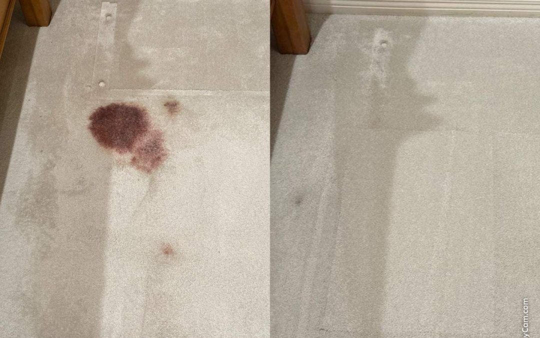 Carpet Repair for Permanent Blood Stains in Northern Arizona