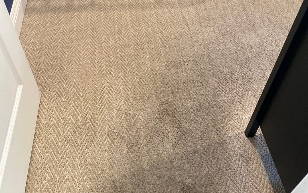 Keep High-Traffic Carpet Areas Clean with Professional Carpet Cleaning