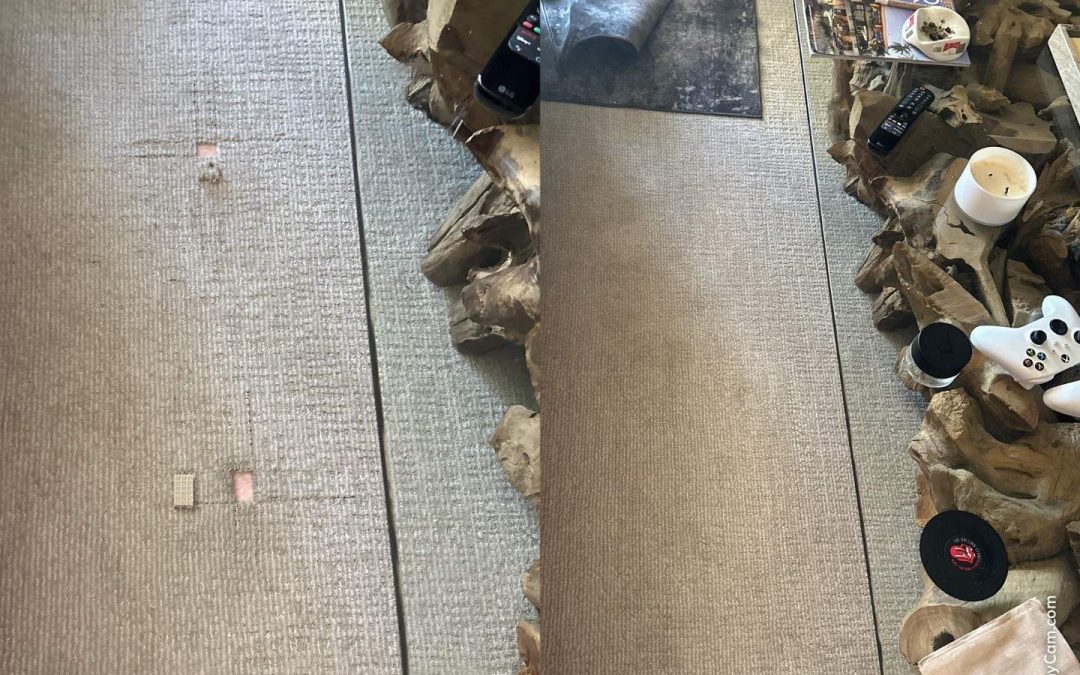 Expert Berber Carpet Repair in Northern Arizona